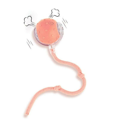 Cat&Dog Toy - Interactive USB Rechargeable Ball Toy on Rug with Bird Chirping, Anti-Depression Fun Gift for Cats & Dogs
