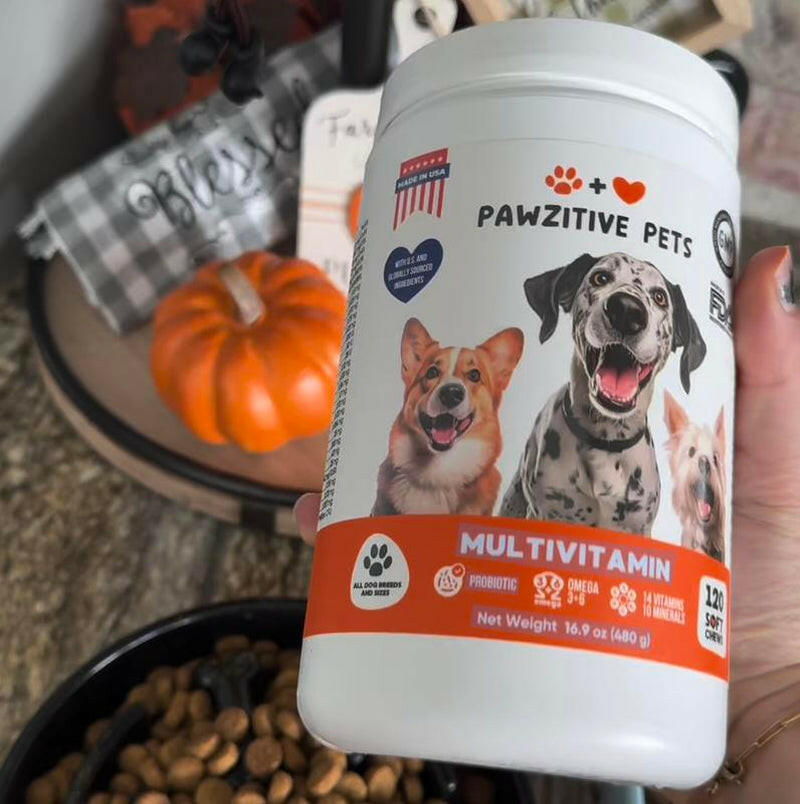 Pawzitive Pets Multivitamin Chews for Dogs – Daily Health Support with Probiotics, Omega 3, Minerals & Vitamins – All-Breed – Made in USA