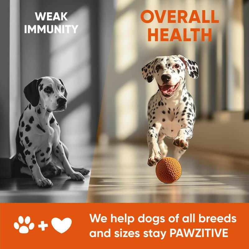 Pawzitive Pets Multivitamin Chews for Dogs – Daily Health Support with Probiotics, Omega 3, Minerals & Vitamins – All-Breed – Made in USA