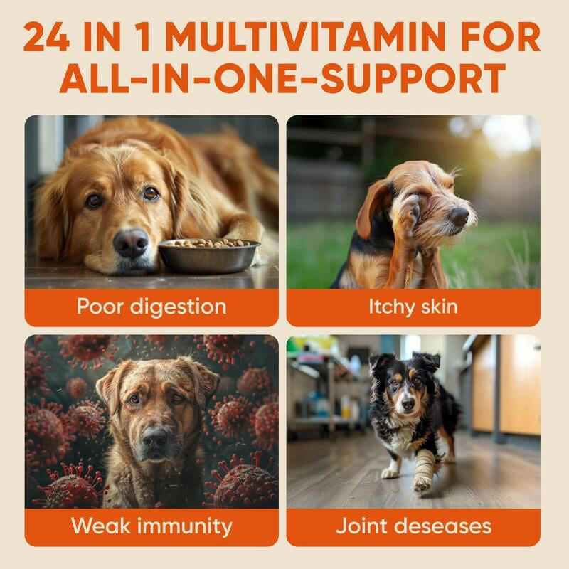 Pawzitive Pets Multivitamin Chews for Dogs – Daily Health Support with Probiotics, Omega 3, Minerals & Vitamins – All-Breed – Made in USA