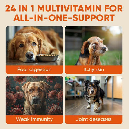 Pawzitive Pets Multivitamin Chews for Dogs – Daily Health Support with Probiotics, Omega 3, Minerals & Vitamins – All-Breed – Made in USA