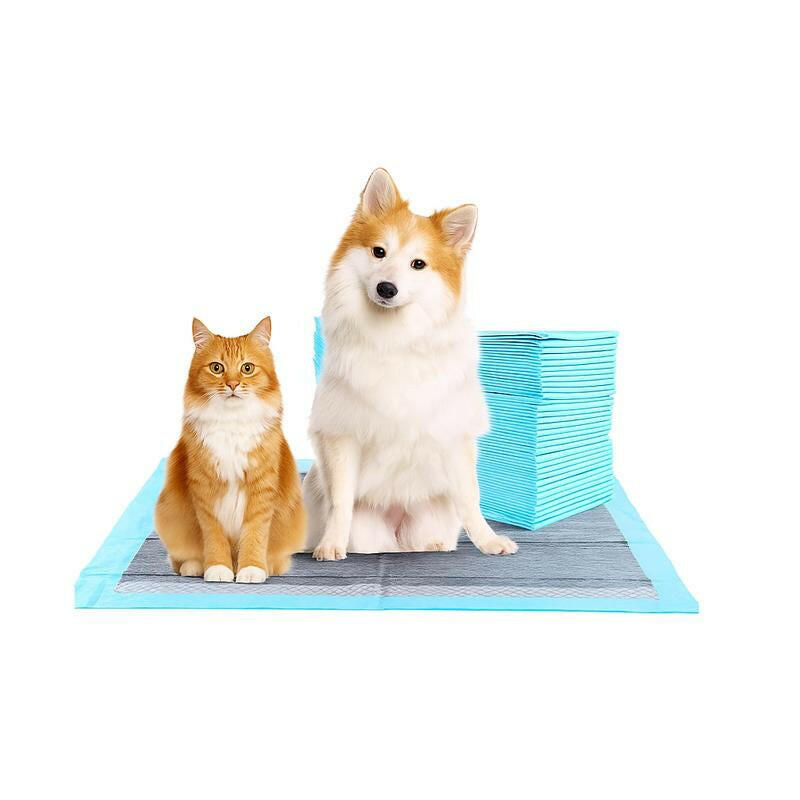 Super-Absorbent Waterproof Dog & Cat and Puppy Pet Training Pad, Housebreaking Pet Pad, 100-Count Small-Size