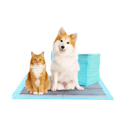 Super-Absorbent Waterproof Dog & Cat and Puppy Pet Training Pad, Housebreaking Pet Pad, 100-Count Small-Size
