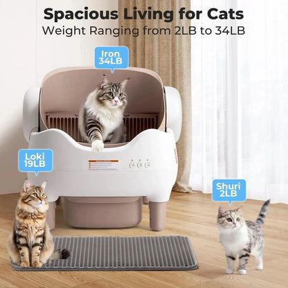 Automatic Self Cleaning Litter Box Big Save Store