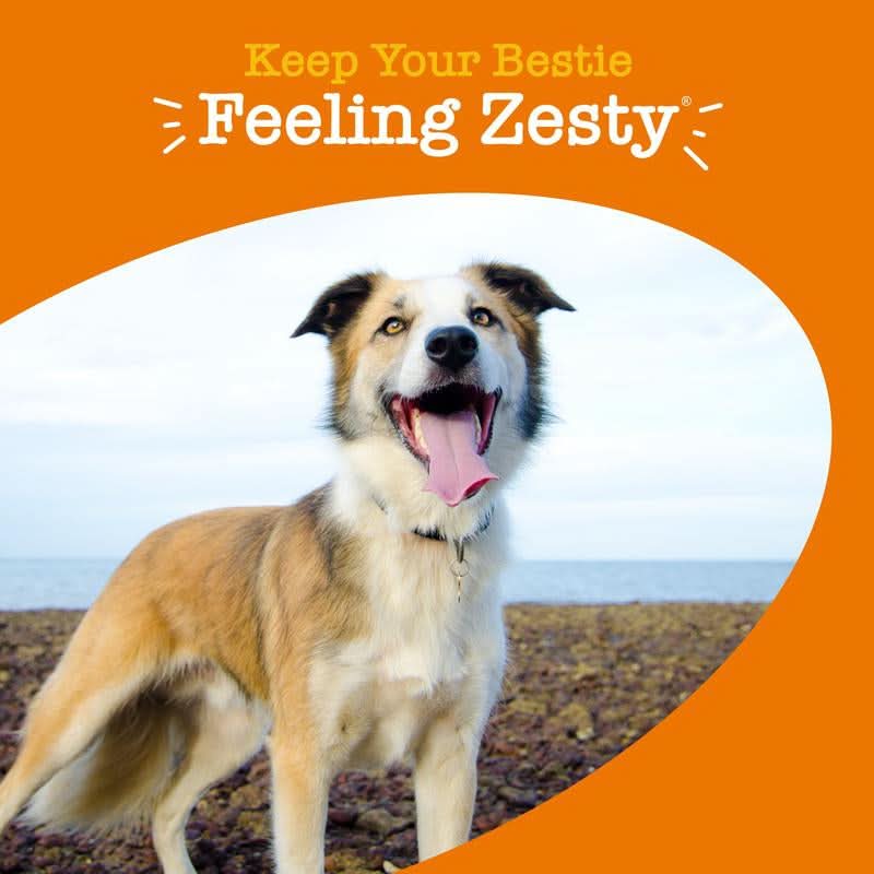 Zesty Paws 8-In-1 Chewable Multivitamin Bite for Dogs, Soft Chew Immune Support Dog Treats Supplement 8 in Dog Supplements
