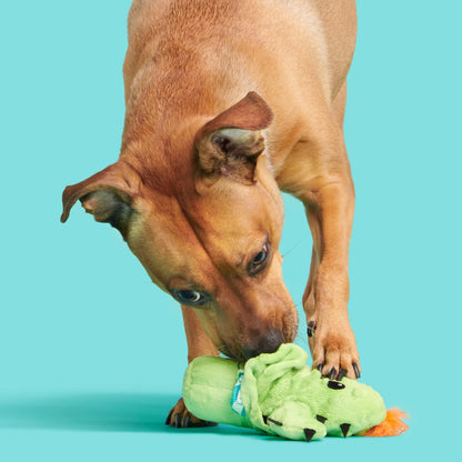 Prickly Pete Dog Toy, Surprise Squeaker Toy Inside, Extra Small to Small Dogs, Green