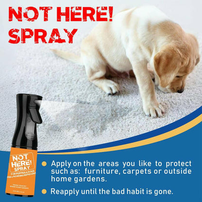 NOT HERE SPRAY - anti Cat & Dog Urine Spray - 5 Fl Oz -No More Marking Spray for Dogs & Cats-Non-Staining Potty Training Spray Fordogs & Cats - Effective Don'T Pee Herespray for Dogs