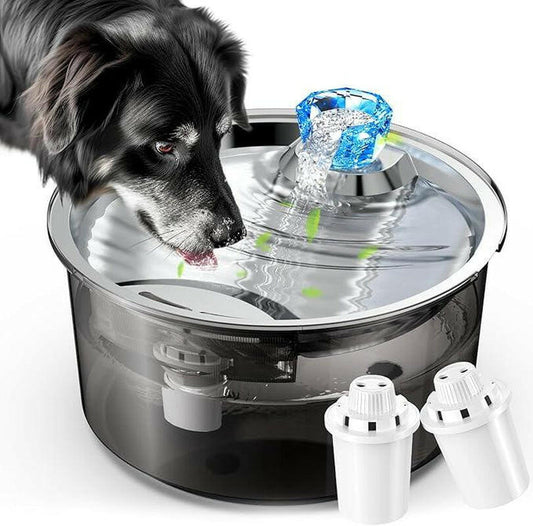 2.6 Gallon Dog Water Fountain, 10L Dog Clean Water Bowl Dispenser with Stainless Steel Filtered Drinking Water Fountain for Dogs & Cats & Multiple Pets