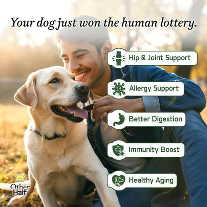 Other Half Everyday - Clean Dog Multivitamin Supplement | 45 Active Ingredients | 30 Scoops
