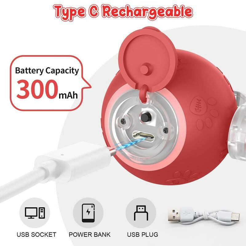 Cat&Dog Toy - Interactive USB Rechargeable Ball Toy on Rug with Bird Chirping, Anti-Depression Fun Gift for Cats & Dogs