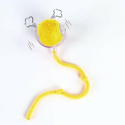 Cat&Dog Toy - Interactive USB Rechargeable Ball Toy on Rug with Bird Chirping, Anti-Depression Fun Gift for Cats & Dogs