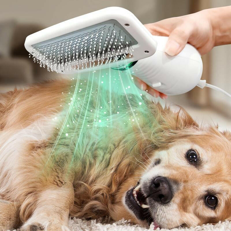 LIVEKEY 2 in 1 Pet Brush Hair Dryer with Bristle Brush, 300W for Small and Medium Dogs, Portable USB Rechargeable Pet Hair Remover