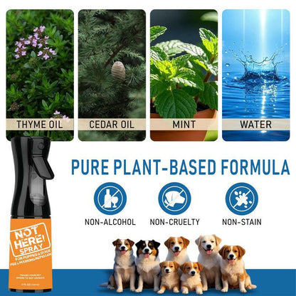 NOT HERE SPRAY - anti Cat & Dog Urine Spray - 5 Fl Oz -No More Marking Spray for Dogs & Cats-Non-Staining Potty Training Spray Fordogs & Cats - Effective Don'T Pee Herespray for Dogs