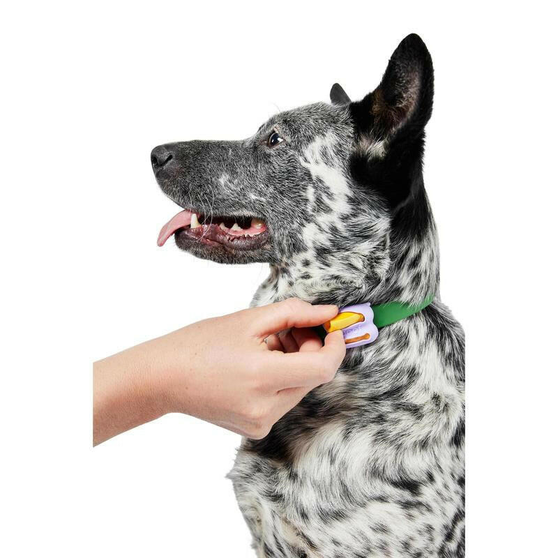 Poomergency Starter Pack - Dog Poop Bag Holder for Collars + 23 Emergency Refills - Never Bagless!