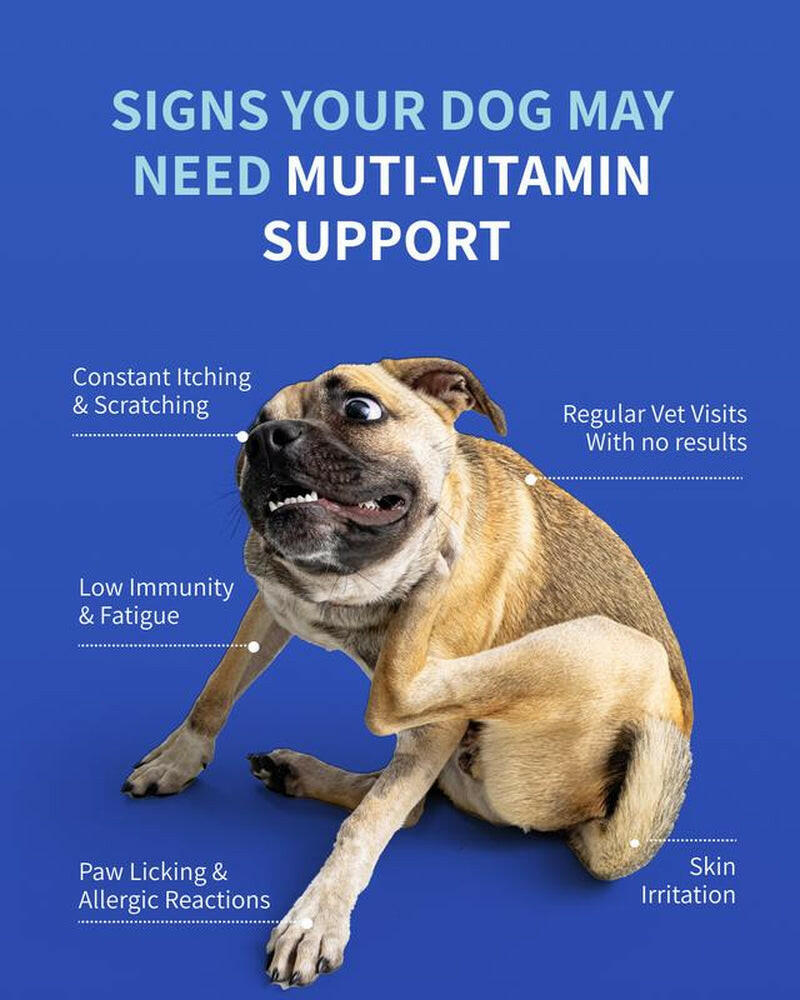 Daily 8 Multivitamin for Dogs - Probiotic for Dogs Itchy Skin - Allergy Chews for Dogs - 120 Chicken Flavor Chews with Salmon Oil & Quercetin - Dog Vitamin Supplement - Itch Relief Remedy