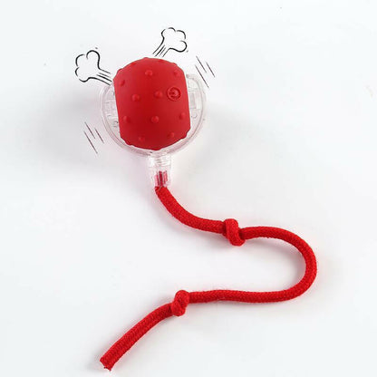 Cat&Dog Toy - Interactive USB Rechargeable Ball Toy on Rug with Bird Chirping, Anti-Depression Fun Gift for Cats & Dogs