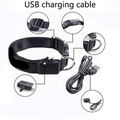 USB RECHARGEABLE LED PET DOG COLLAR - Pets Best shop