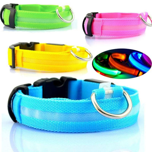 USB RECHARGEABLE LED PET DOG COLLAR - Pets Best shop