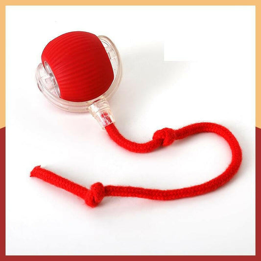 Cat&Dog Toy - Interactive USB Rechargeable Ball Toy on Rug with Bird Chirping, Anti-Depression Fun Gift for Cats & Dogs
