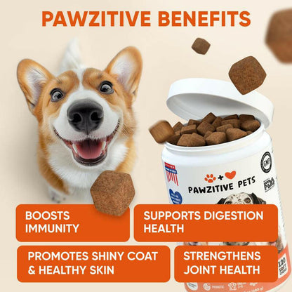 Pawzitive Pets Multivitamin Chews for Dogs – Daily Health Support with Probiotics, Omega 3, Minerals & Vitamins – All-Breed – Made in USA
