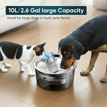 2.6 Gallon Dog Water Fountain, 10L Dog Clean Water Bowl Dispenser with Stainless Steel Filtered Drinking Water Fountain for Dogs & Cats & Multiple Pets