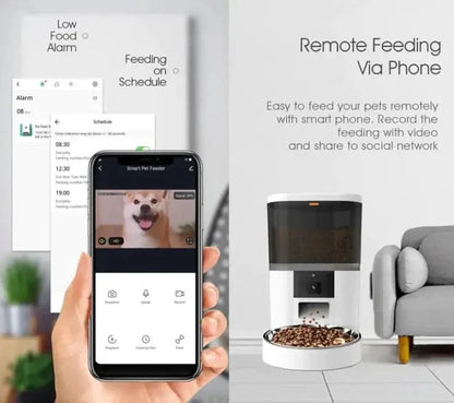 Automatic Pet Feeder My Store