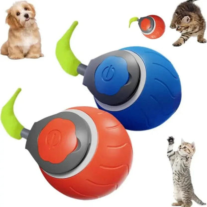 Pet Ball Toy My Store