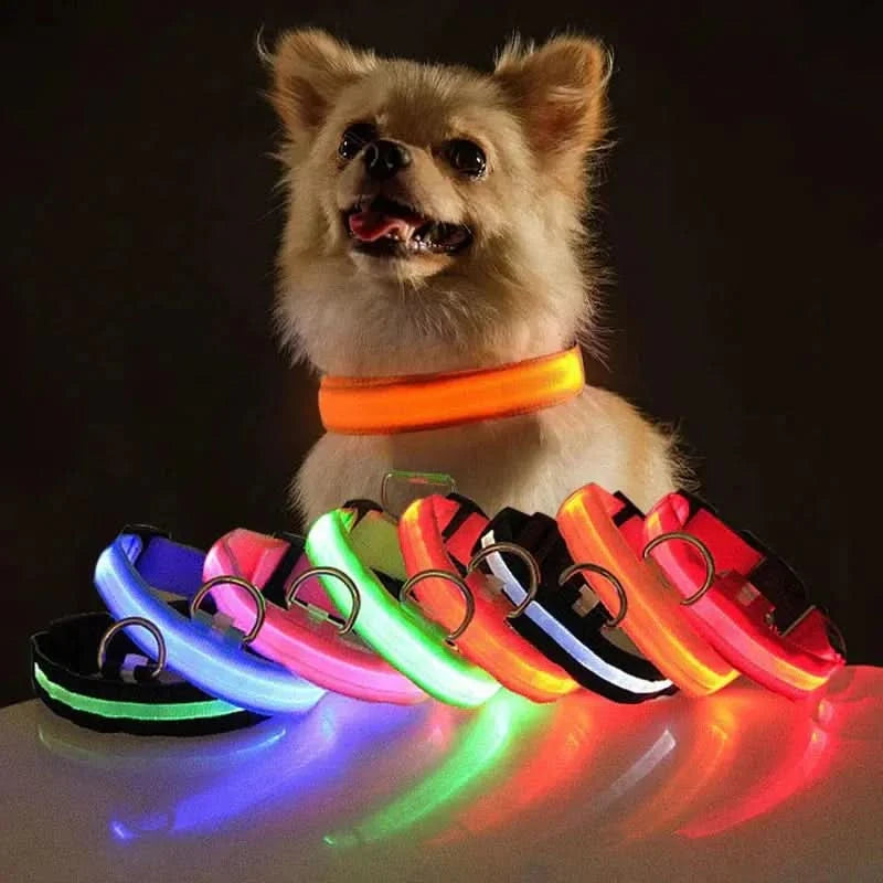 LED Adjustable Dog Collar Blinking Flashing Light Up Glow Pets Safety Waterproof - Pets Best shop