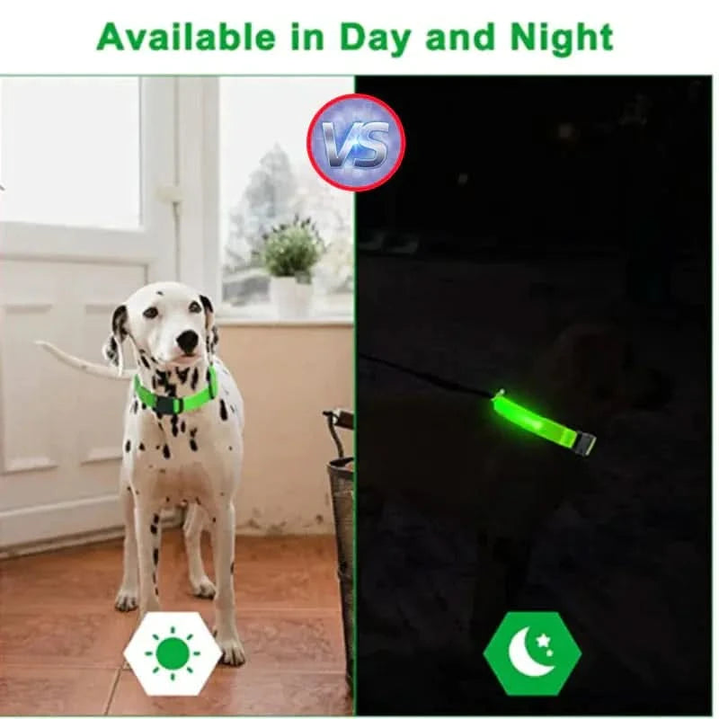 LED Adjustable Dog Collar Blinking Flashing Light Up Glow Pets Safety Waterproof - Pets Best shop
