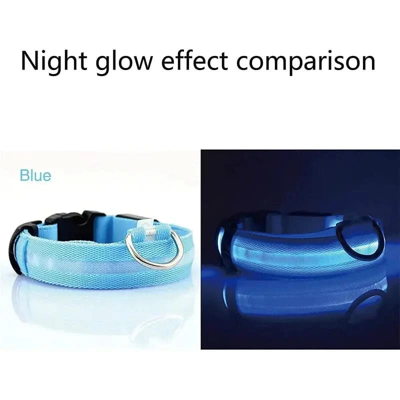 LED Adjustable Dog Collar Blinking Flashing Light Up Glow Pets Safety Waterproof - Pets Best shop