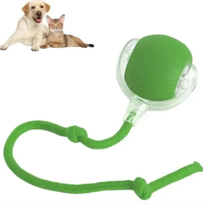Smart Rolling Pet Ball My Store