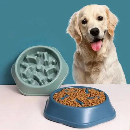 Slow Feeder Pet Bowl My Store