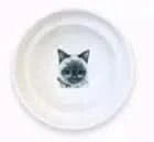 Spine Protection Bowl Holder for Cat Food and Water My Store