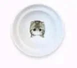 Spine Protection Bowl Holder for Cat Food and Water My Store