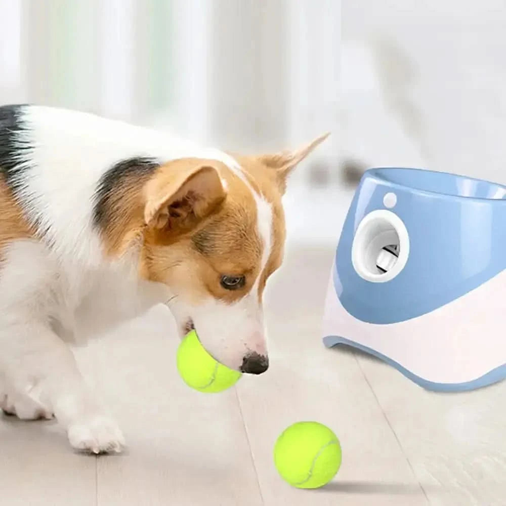 Automatic Tennis Ball Launcher My Store