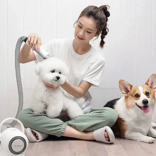 Pet Grooming Tool My Store