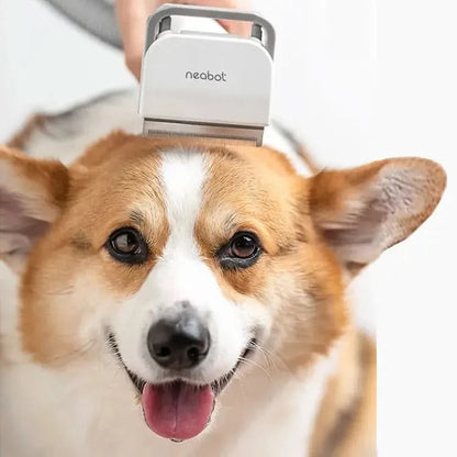 Pet Grooming Tool My Store