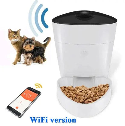Pet Feeder My Store