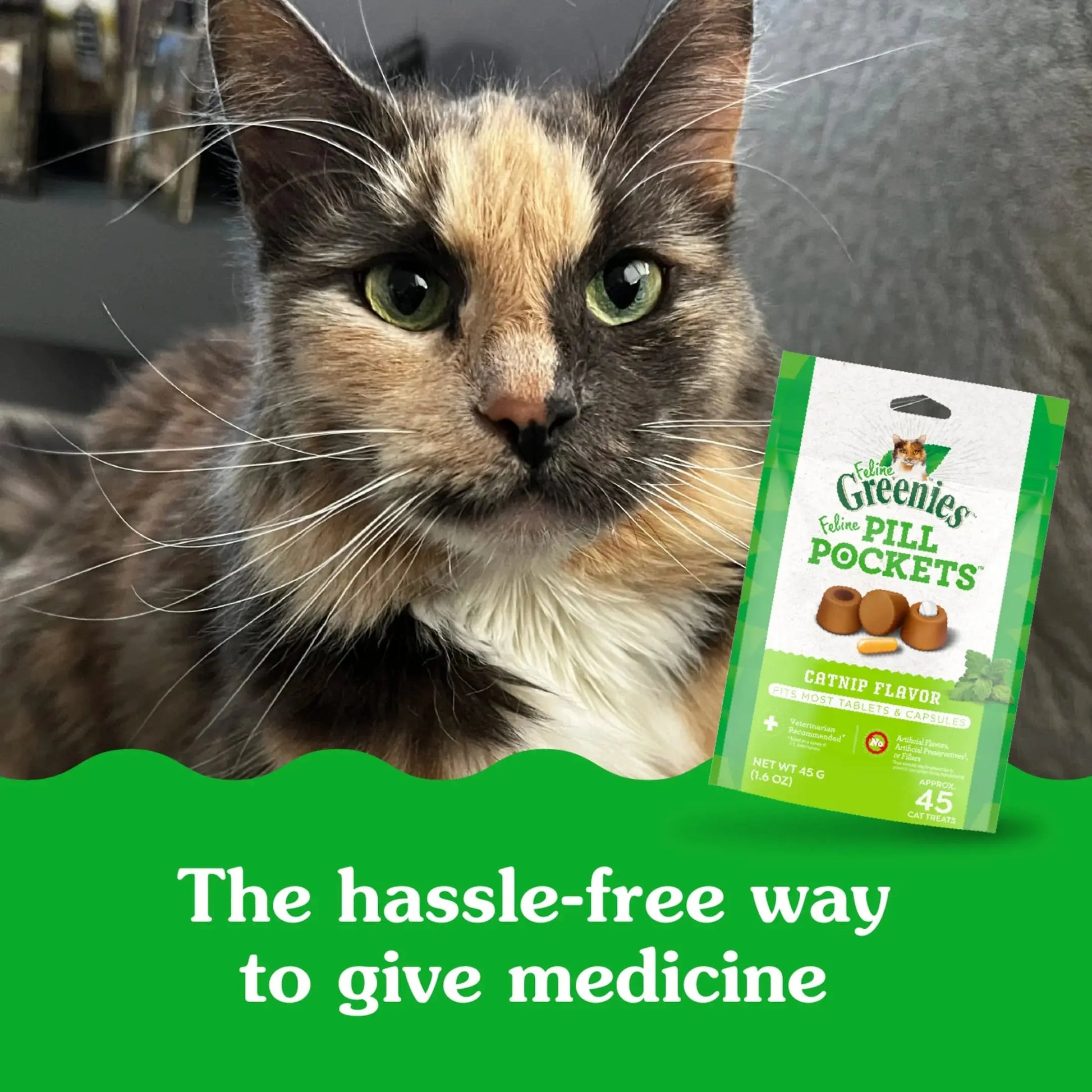 Feline  Pill Pockets for Cats Natural Soft Cat Treats, Catnip Flavor, 1.6 Oz Pack (45 Treats)