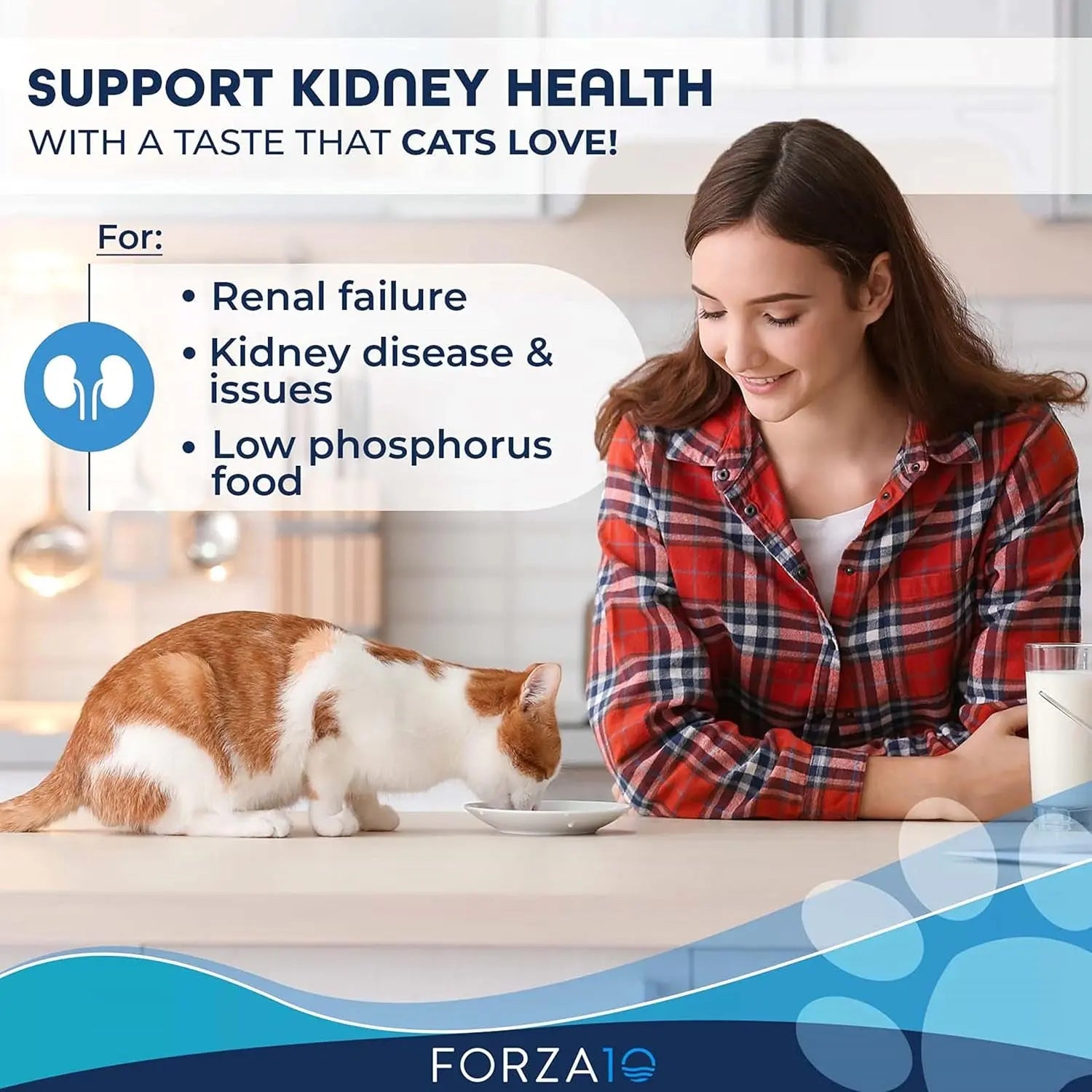 Kidney Care Wet Cat Food - Renal Support Formula with Lamb, 3.5 Oz Cans, 32 Pack - Veterinarian Formulated, Made in Italy