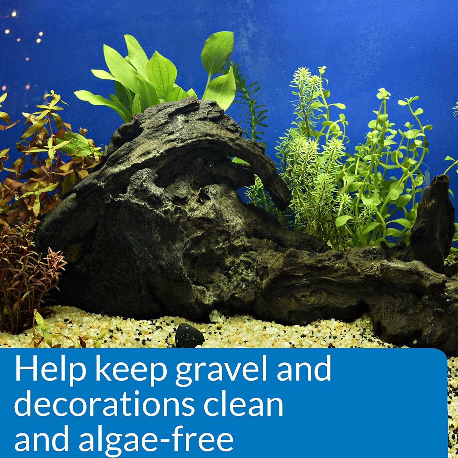 Stress Zyme Aquarium Cleaning Solution for Freshwater and Saltwater - 1 Gallon