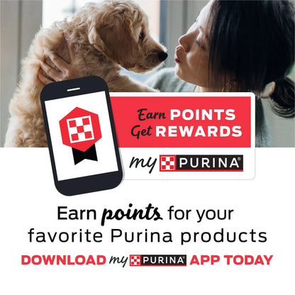 Purina  30-70+ Lbs Dog Treats Original Pork, Long-Lasting Chews, 21 Oz Pouch (6 Count)