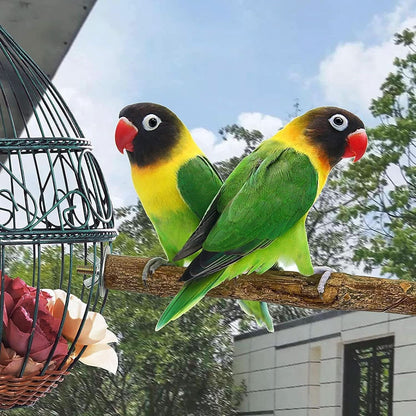 Stainless Steel Fruit and Vegetable Holder for Birds and Small Animals - Foraging Toy and Treat Skewer (#1)