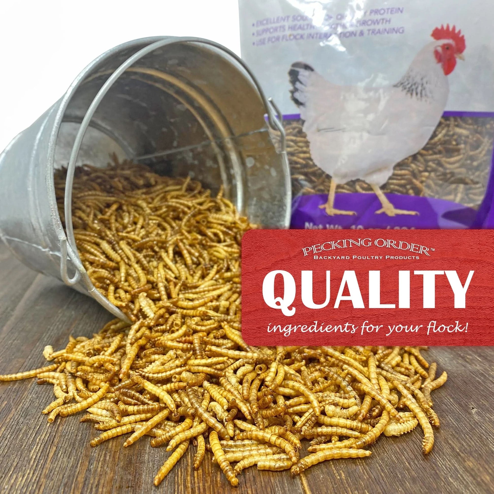 Dried Mealworms Backyard Chicken Feed & Treat, 10 Oz.