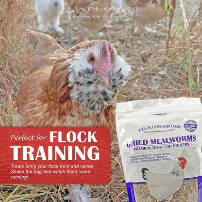 Dried Mealworms Backyard Chicken Feed & Treat, 10 Oz.