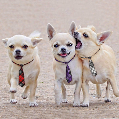 Adjustable Dog Neck Ties for Large Breeds - Bulk Bow Ties and Neckties for Grooming Accessories, Ideal for Valentine's Day, Birthdays, Weddings, and Cosplay Costumes