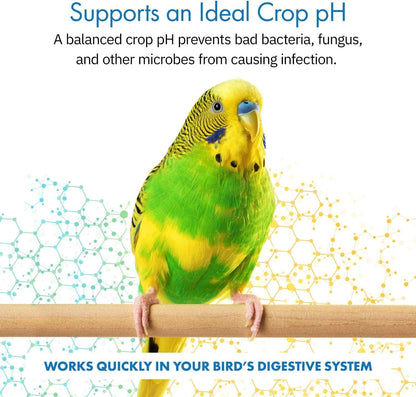 Healthygut™ Avian Probiotics Dietary Supplement for Parrots - All-Natural Digestive Support Formula (120 Servings)