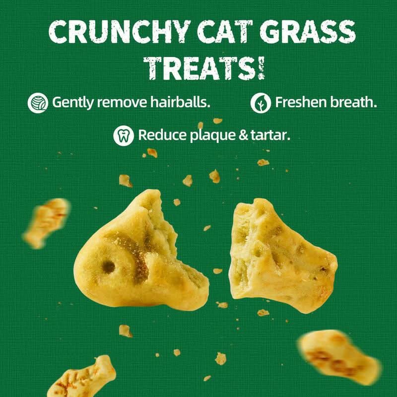 Just Try Salmon Oil Treats with Cat Grass| Natural Salmon Flavor | Kitten & Cat Healthy Training Biscuits | Fish Oil Omega-3 Supplements