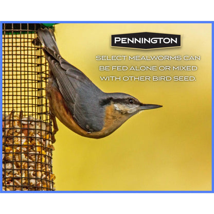 Select Mealworms, Bluebird and Wild Bird Food, 17.6 Oz. Bag, 1 Pack, Dry
