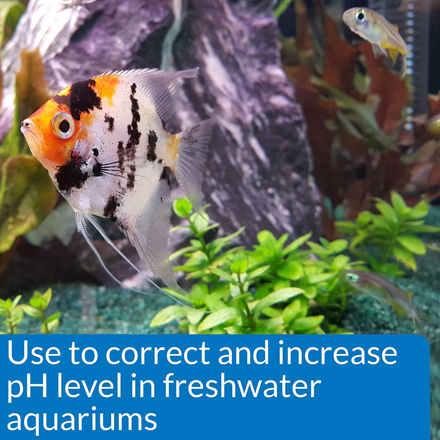 pH Up Freshwater Aquarium pH Raising Solution - 16 oz Bottle